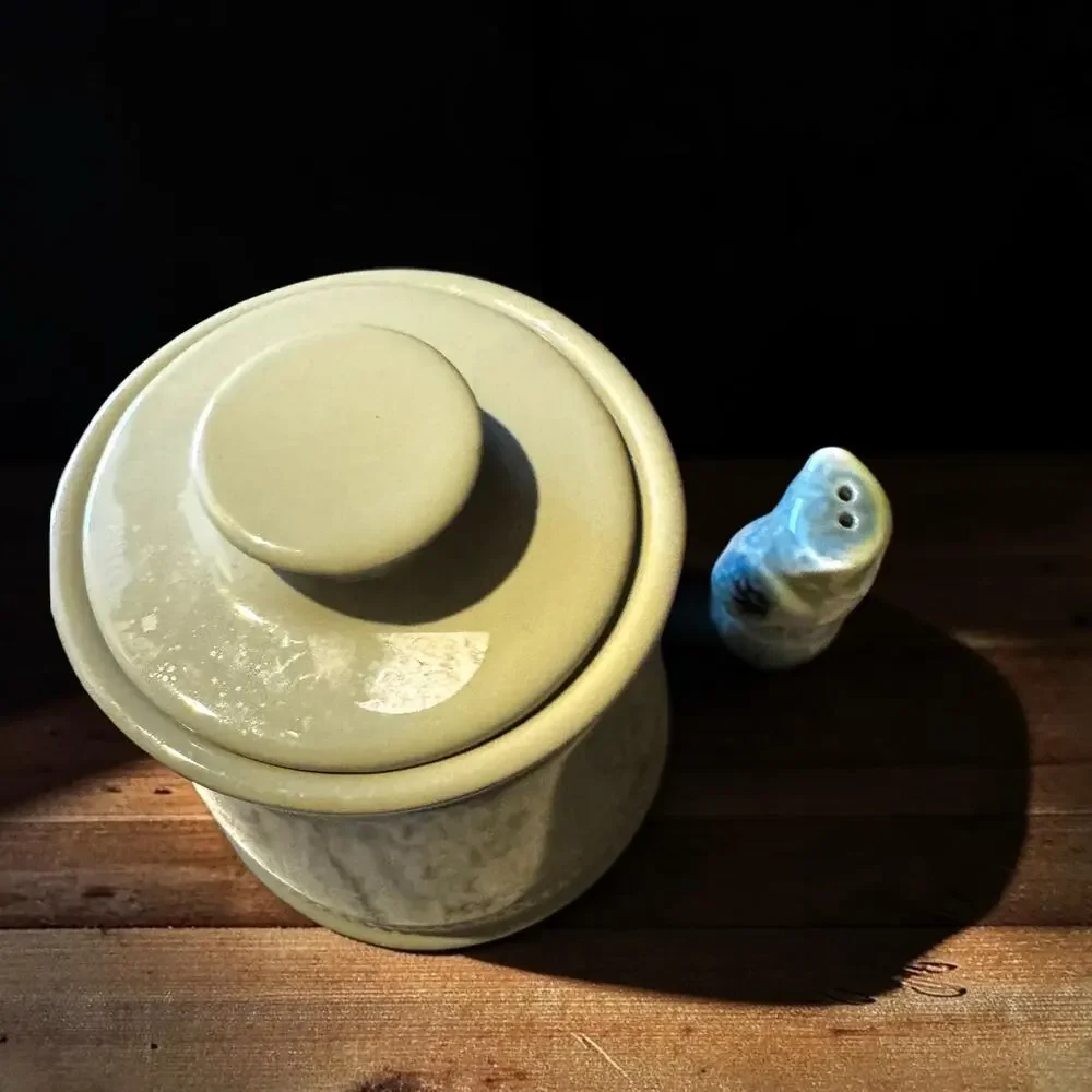 Vintage Sage Green Stoneware Kitchen Canister with Lid | Farmhouse Ceramic
